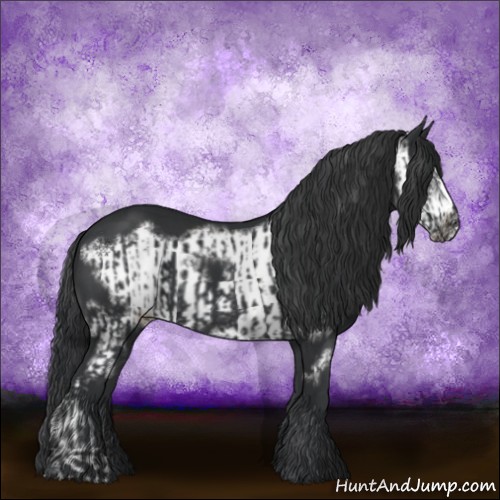 Horse Color:Black  and Black Frame 