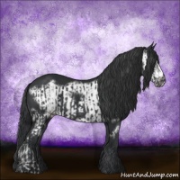 Horse Color:Black  and Black Frame 