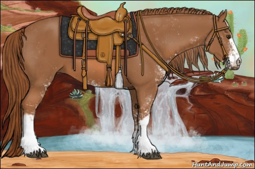 Horse Color:Chestnut Sabino