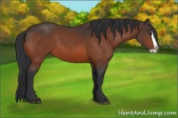 Horse Color:Brown Splash 