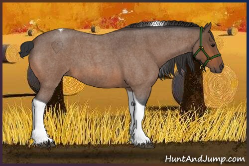 Horse Color:Bay Roan Tobiano