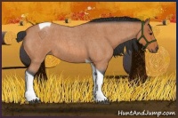 Horse Color:Bay Roan Tobiano