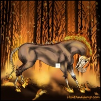 Horse Color:Silver Bay Dun 