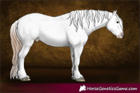 Horse Color:Bay Roan Appaloosa 