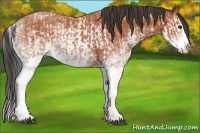 Horse Color:White Spotted Bay Splash  and White Spotted Bay Splash 
