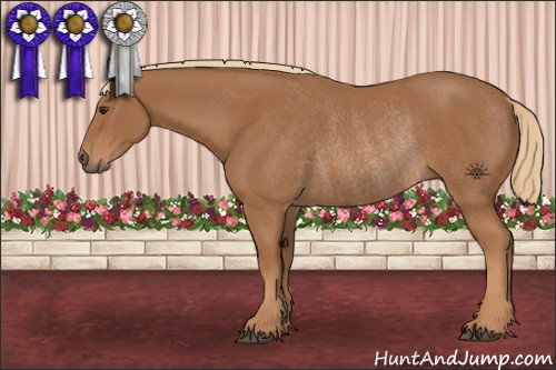 Horse Color:Chestnut Rabicano 