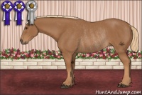 Horse Color:Chestnut Rabicano 