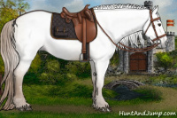 Horse Color:Gray Red Dun