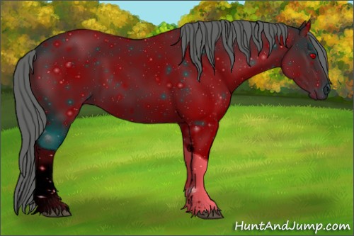 Horse Color:ERROR: UNKNOWN ANOMALY