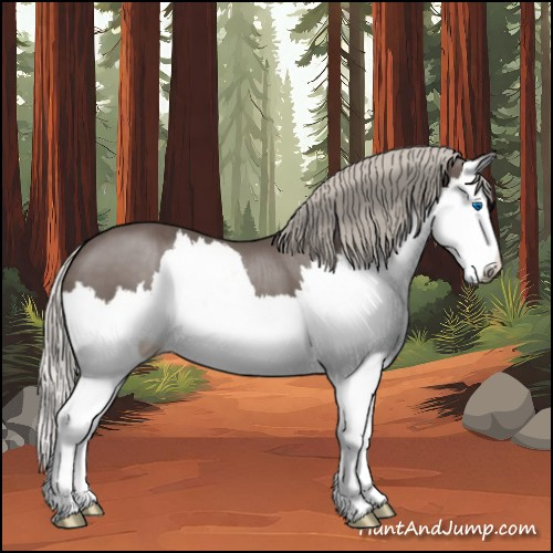 Horse Color:Silver Black Splash 