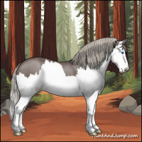 Horse Color:Silver Black Splash 