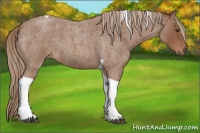 Horse Color:Red Roan Tobiano 