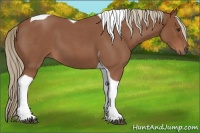 Horse Color:Red Roan Tobiano