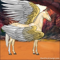 Horse Color:Palomino Appaloosa and Palomino