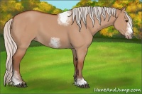 Horse Color:Silver Bay Dun Sabino Tobiano Frame Rabicano 