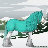 Horse Color:Watercolor Black Splash