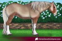 Horse Color:Silver Blue Onyx Splash