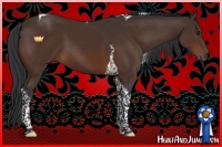 Horse Color:Brown Tobiano