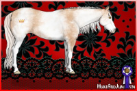 Horse Color:White Spotted Silver Classic Champagne Sabino