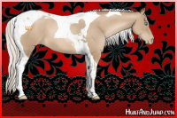 Horse Color:Silver Smoky Black Pearl Sabino Tobiano