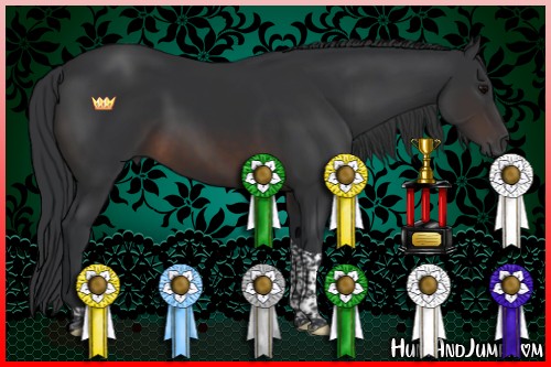 Horse Color:Brown Tobiano 