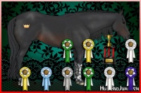 Horse Color:Brown Tobiano 