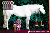 Horse Color:Smoky Grullo Tobiano Near Leopard 