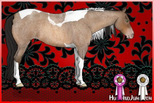 Horse Color:Gray Amber Champagne Roan Tobiano 