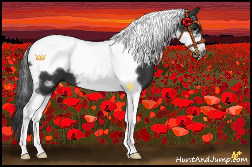 Horse Color:Black Tobiano Frame