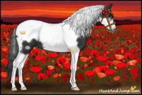Horse Color:Black Tobiano Frame