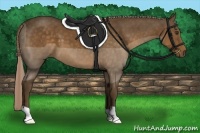 Horse Color:Chocolate Palomino 