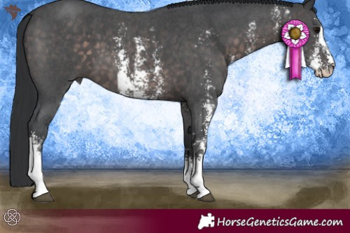 Horse Color:Platinum Brown Sabino 
