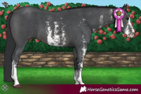 Horse Color:Platinum Brown Sabino 
