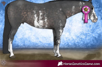 Horse Color:Platinum Brown Sabino 