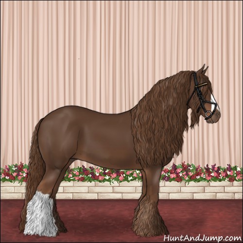 Horse Color:Liver Chestnut 