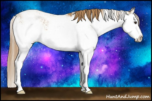 Horse Color:Chestnut Sabino Splash 