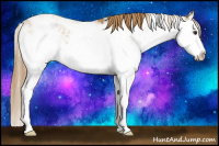 Horse Color:Chestnut Sabino Splash 