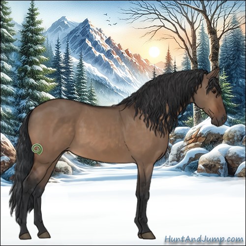 Horse Color:Bay Dun 