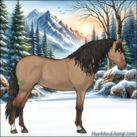 Horse Color:Bay Dun Sabino Rabicano 