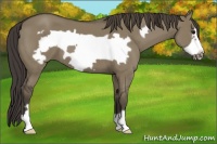 Horse Color:Smoky Grullo Frame 