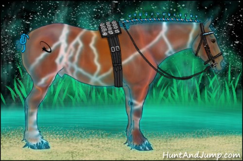 Horse Color:Thunderstruck Bay 