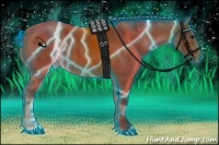 Horse Color:Thunderstruck Bay 