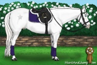 Horse Color:Cremello Sabino 