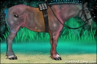 Horse Color:Blue Roan