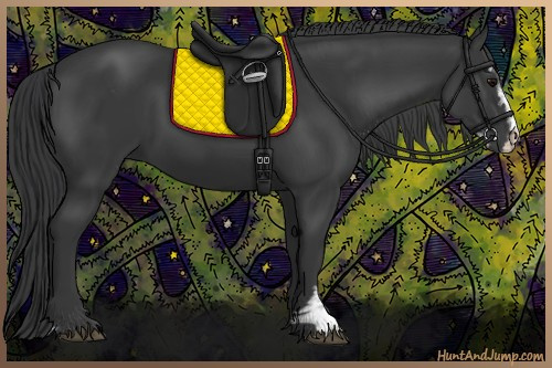 Horse Color:Black Sabino