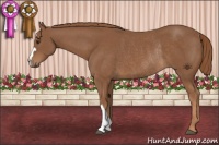 Horse Color:Chestnut Rabicano 