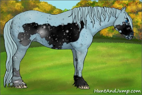 Horse Color:ERROR: UNKNOWN ANOMALY