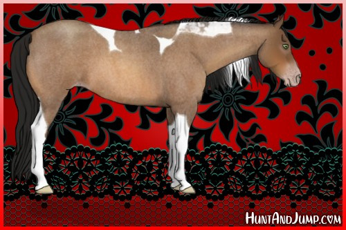 Horse Color:Gray Amber Champagne Roan Tobiano 
