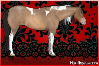 Horse Color:Gray Amber Champagne Roan Tobiano 