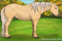 Horse Color:Palomino Ice Roan 